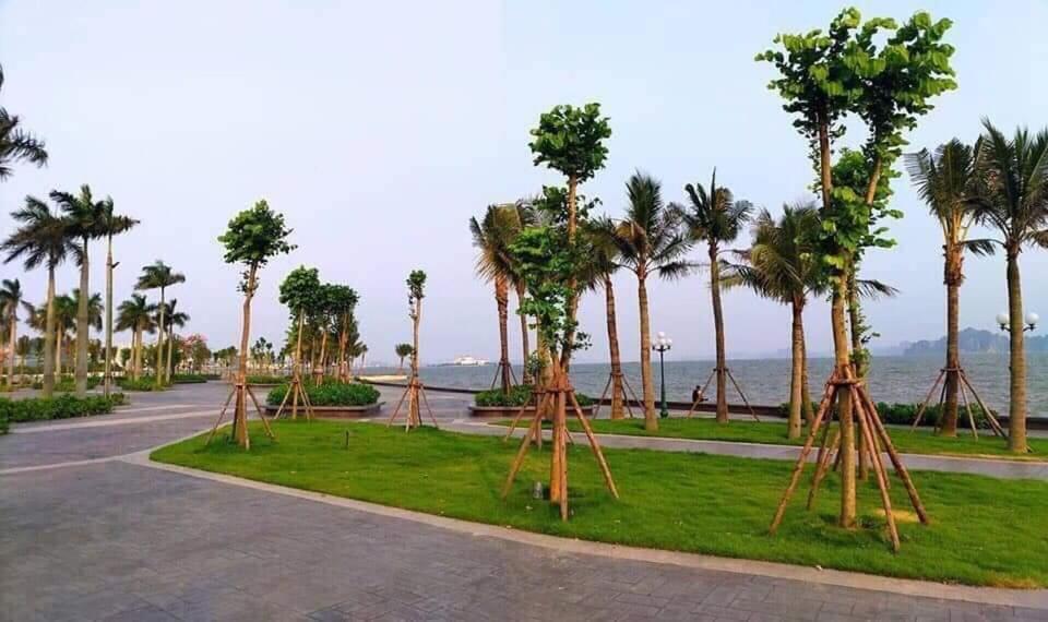 הלונג Sonny Homestay 2 -Can Lien Ke 5Pn -Khu Greenbayvillage - Duong Hoang Quoc Viet -Trung Tam Kdl Bai Chay מראה חיצוני תמונה